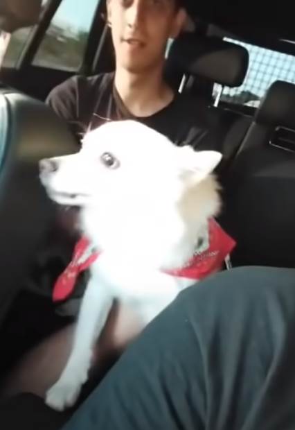 kristijan pokazao lazarevu devojku