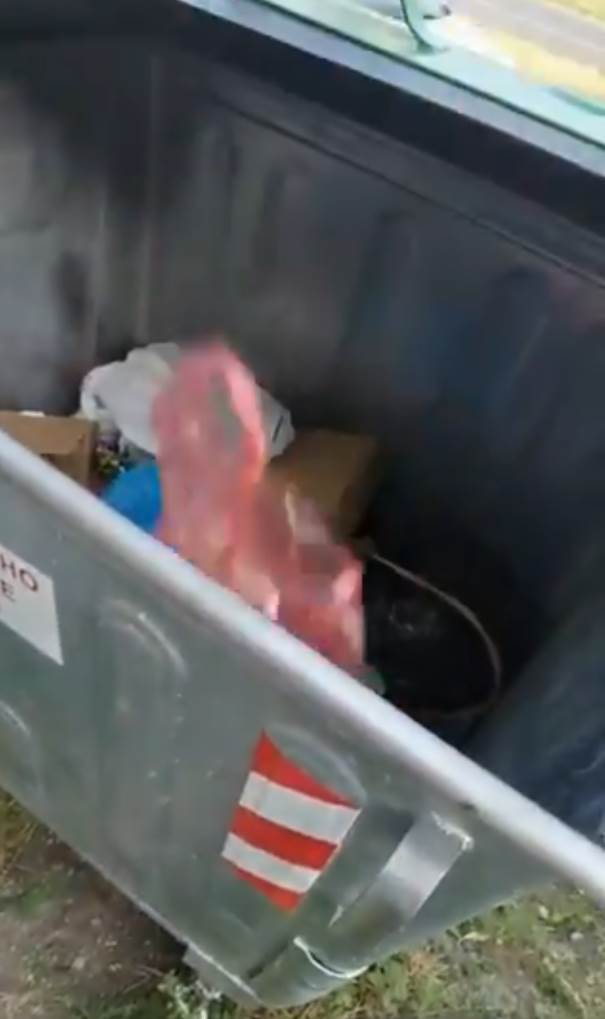 laca bacio lukasovu knjigu u kontejner