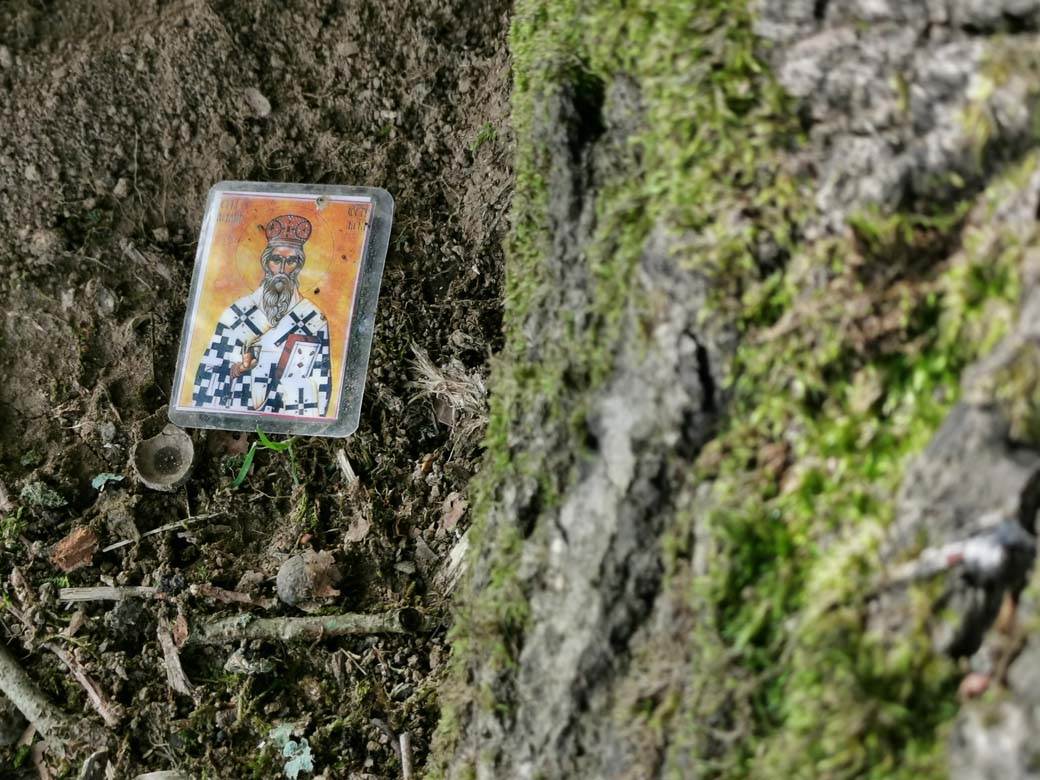 Srbi veruju da je hrast u selu Tijanje lekovit