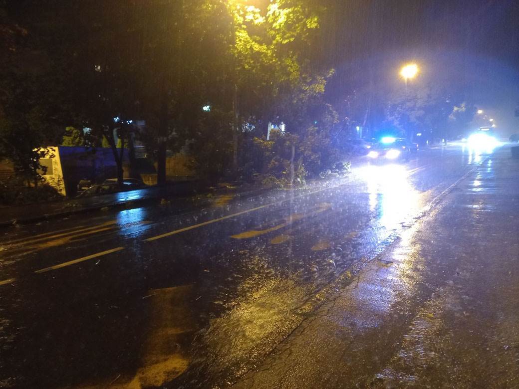 Drvo palo na ulicu na Banovom brdu zbog nevremena
