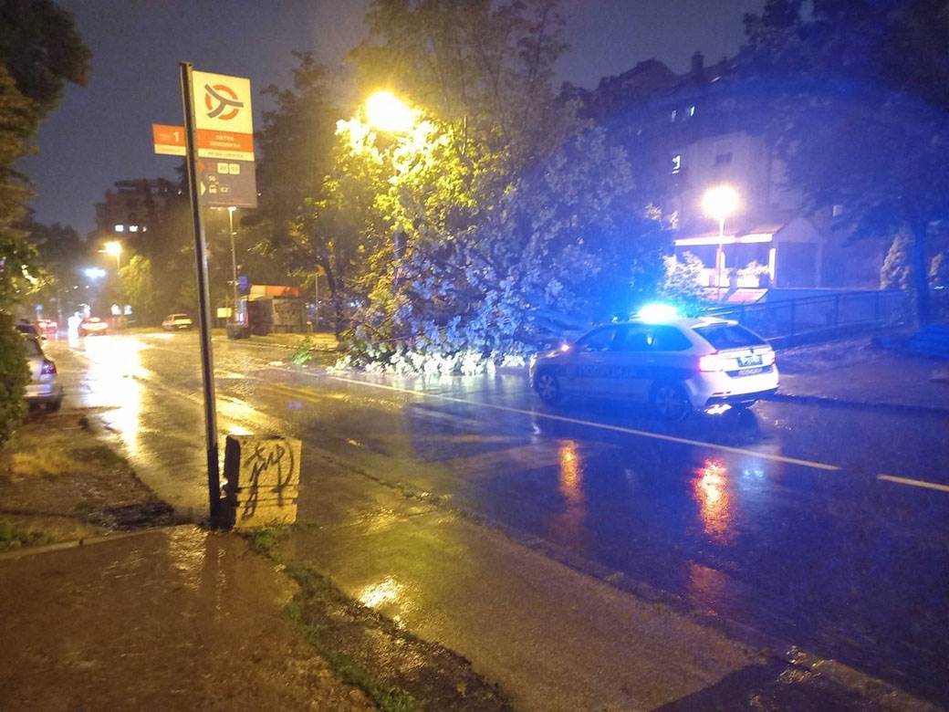 Drvo palo na ulicu na Banovom brdu zbog nevremena