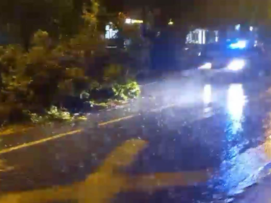 Drvo palo na ulicu na Banovom brdu zbog nevremena