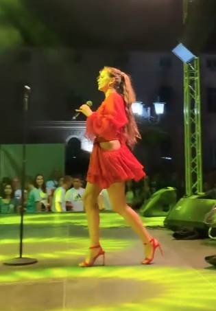 Milica Pavlović prekinula koncert zbog incidenta