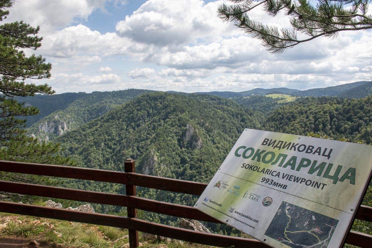 Nacionalni park Tara vidikovci Banjska stena, Crnjeskovo, Osluša, Janjač FOTOGRAFIJE