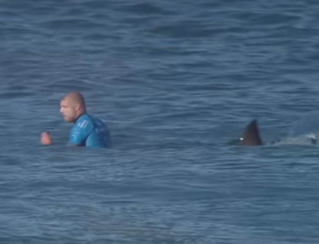 Ajkula napala surfera Mika Feninga