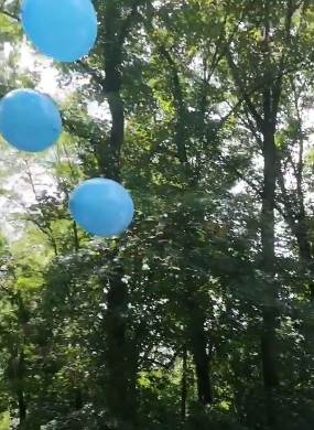 Bojana Ordinačev otkrila pol bebe