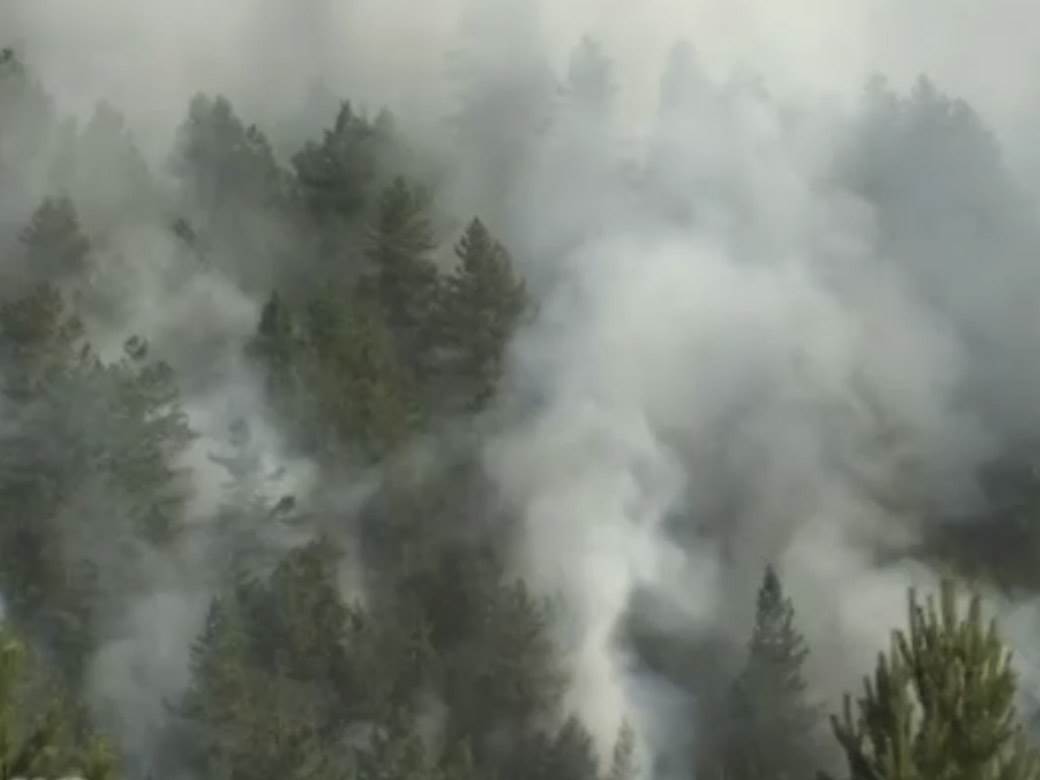 požar u Murtenici(4)