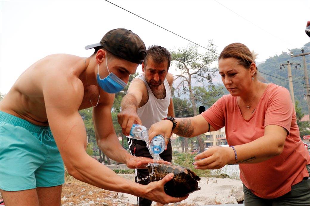 požar turska marmaris  (4)