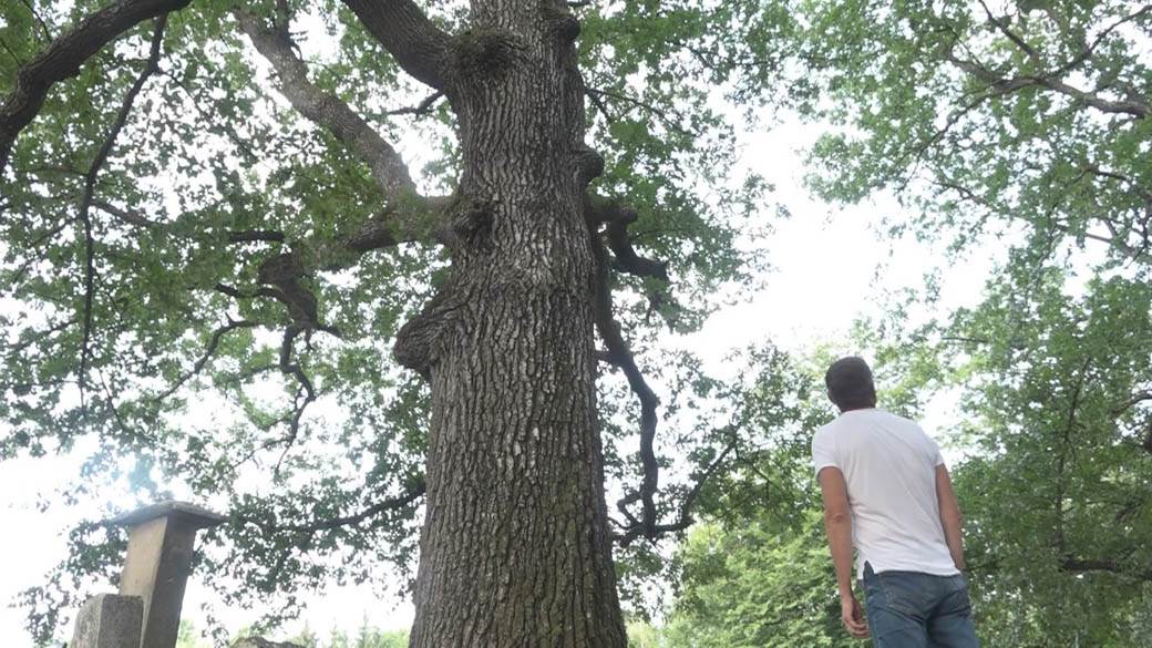 ivanjica brdo bedina varoš (6)