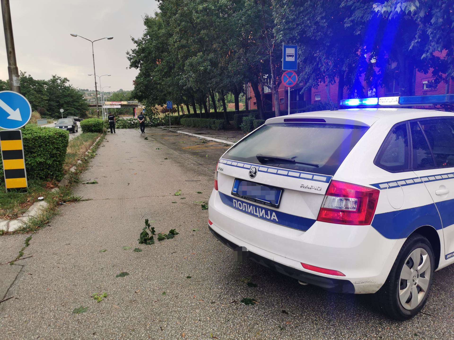 1627754424cacak-nevreme-drvo-palo-fotorina1