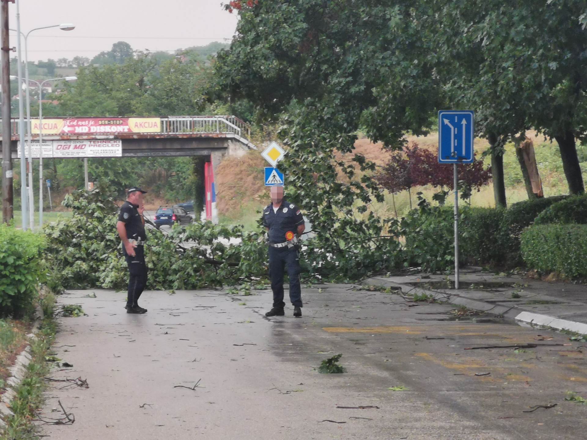 1627754442cacak-nevreme-drvo-palo-fotorina2