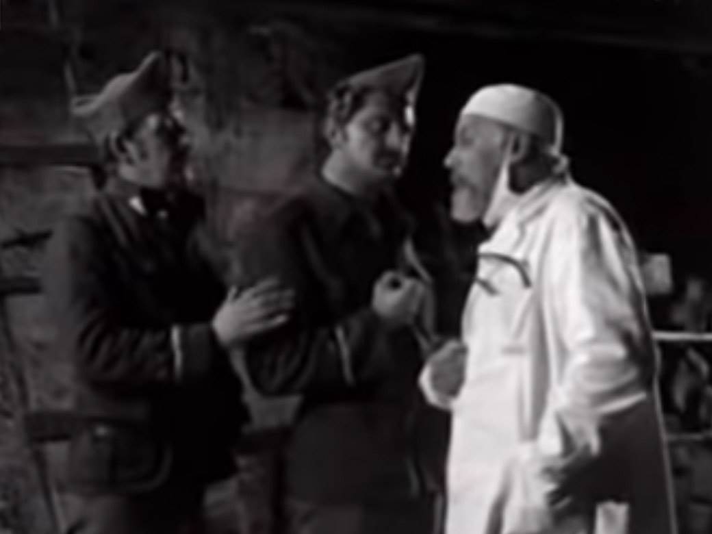 miše martinović brico