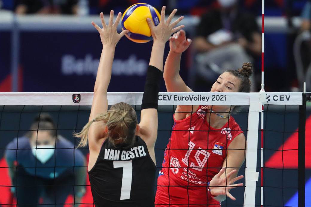 srbija belgija odbojka  (5)