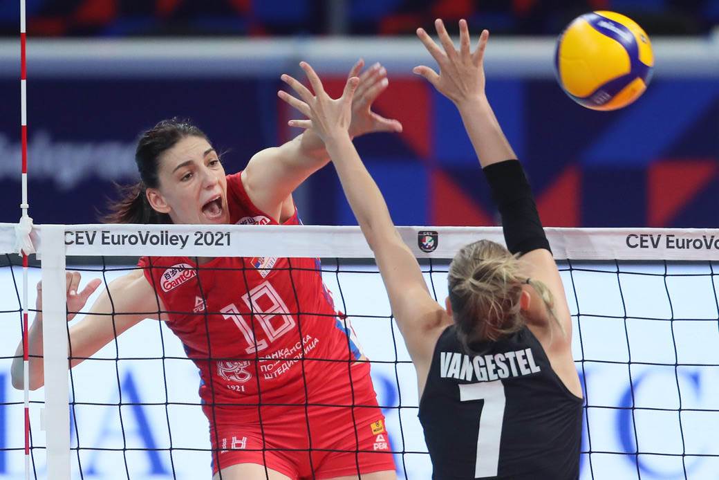 srbija belgija odbojka  (6)