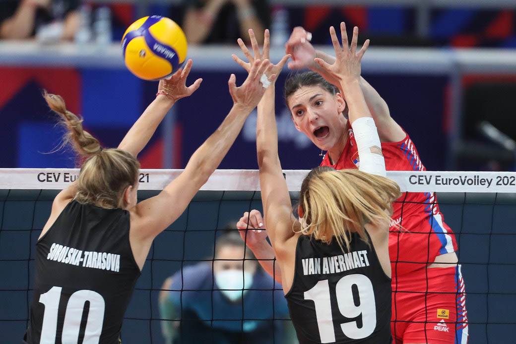 srbija belgija odbojka  (12)