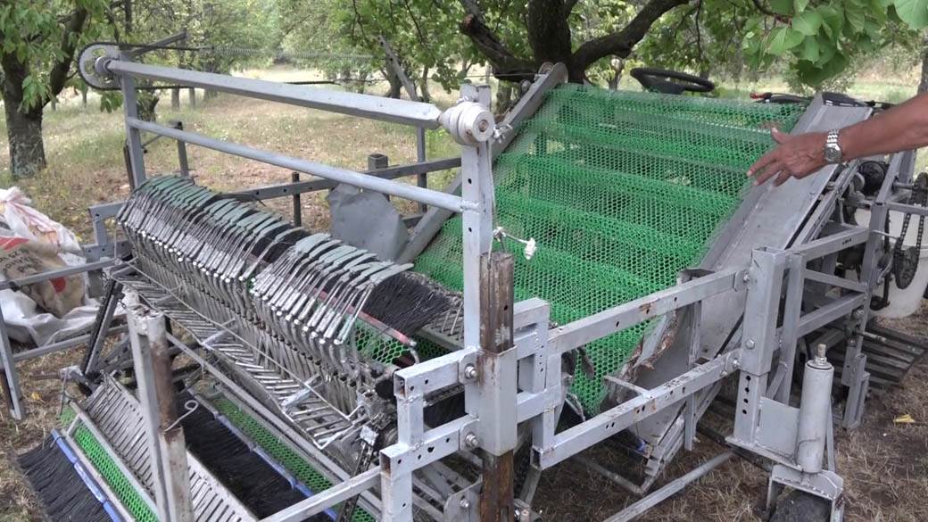 mašina za kupljenje šljiva (2)