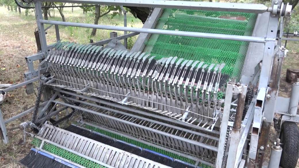 mašina za kupljenje šljiva (3)