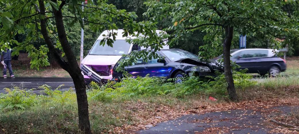 Sudar kod Košutnjaka (6)