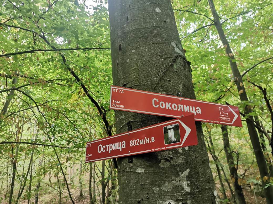 blago nemanjića, zmija, Zmija čuva blago Nemanjića na planini Ostrici, planina ostrica (9)