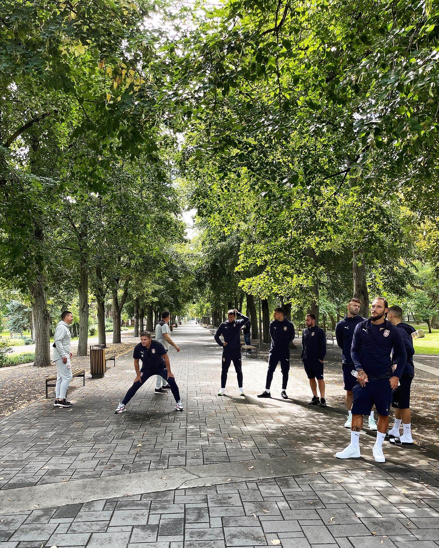 Fudbalski Savez Srbije (5)