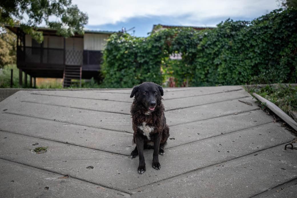 Pancevo Bela Stena-49