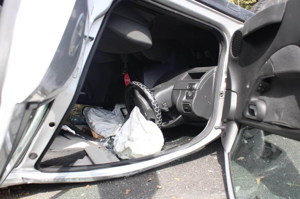 udes na Košutnjaku  (3)