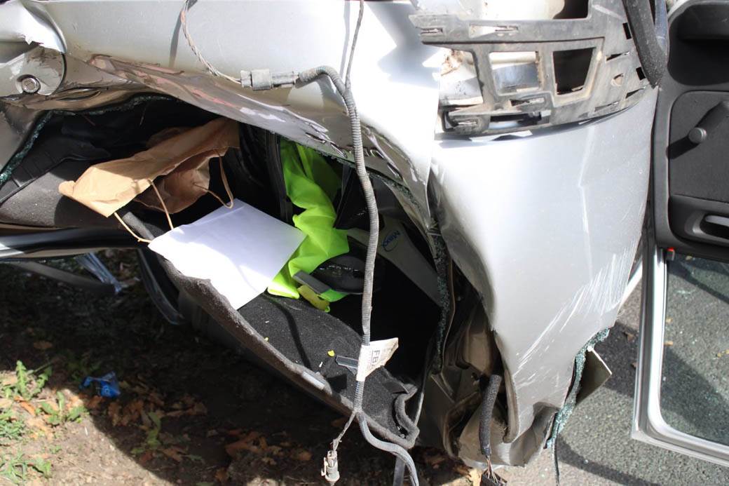 udes na Košutnjaku  (4)