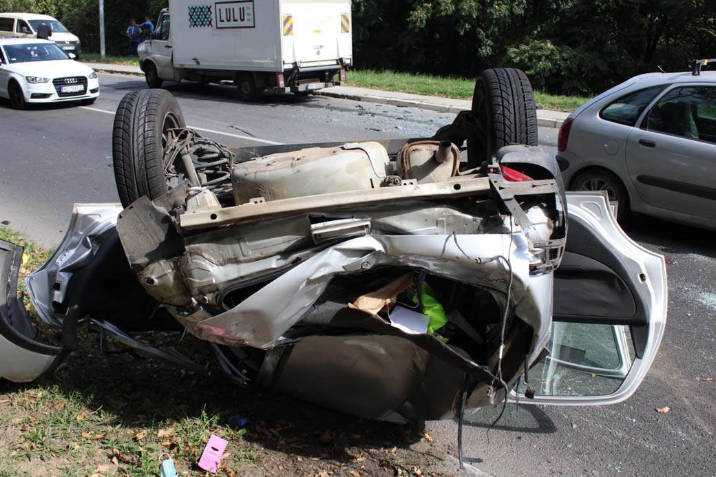 udes na Košutnjaku  (5)