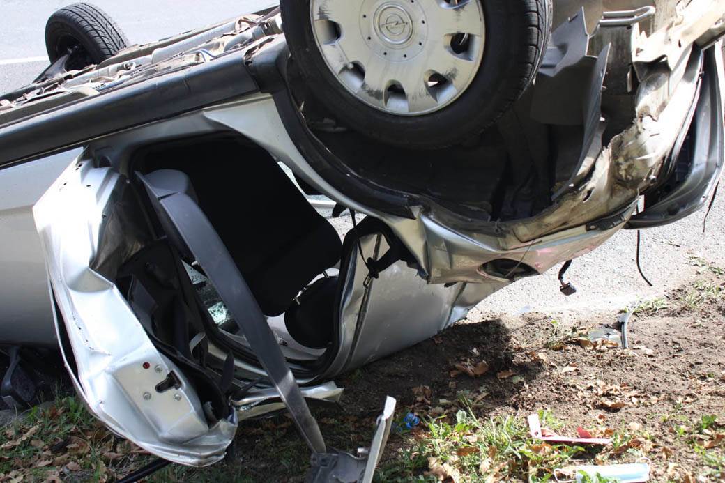 udes na Košutnjaku  (6)