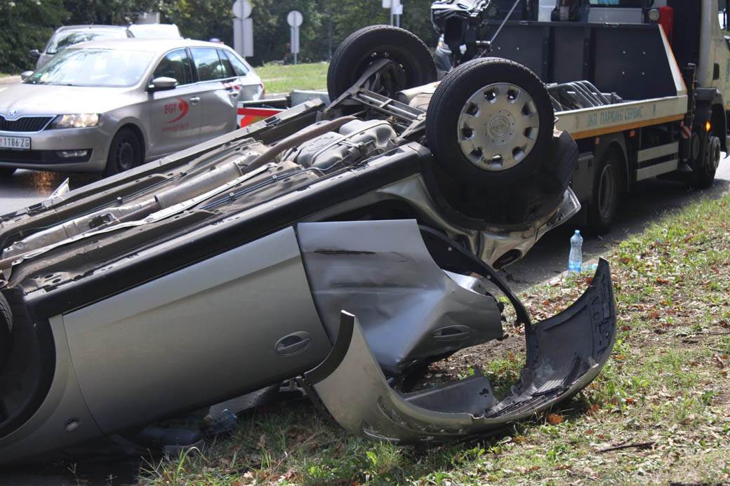 udes na Košutnjaku  (7)