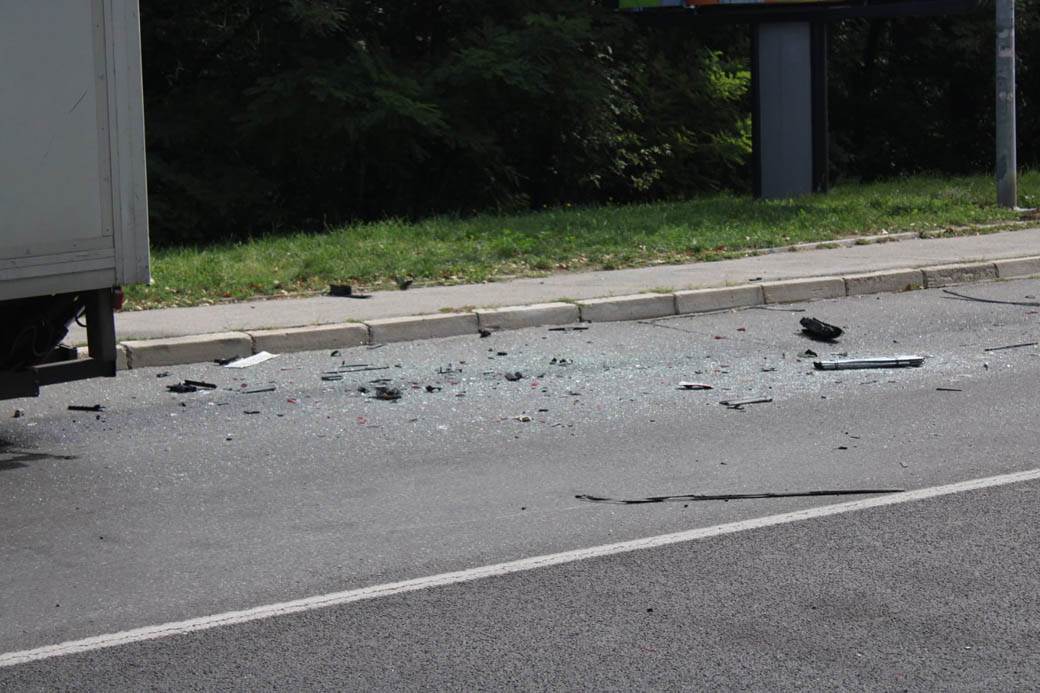 udes na Košutnjaku  (8)