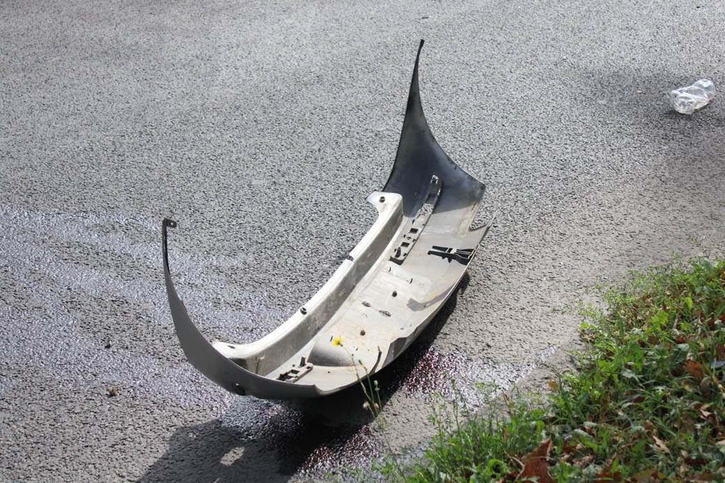 udes na Košutnjaku  (9)