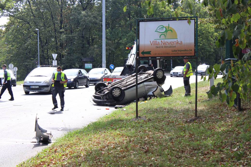 udes na Košutnjaku  (11)