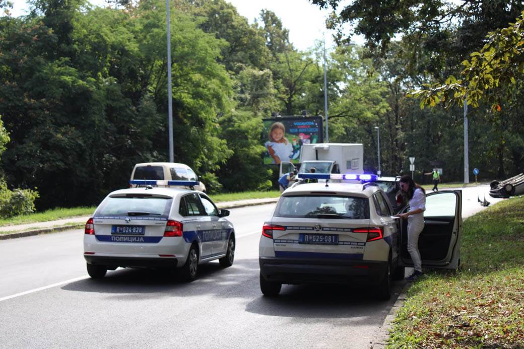 udes na Košutnjaku  (12)