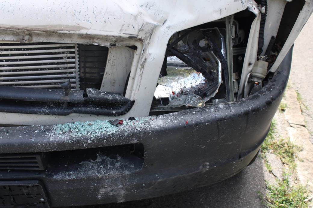 udes na Košutnjaku  (13)