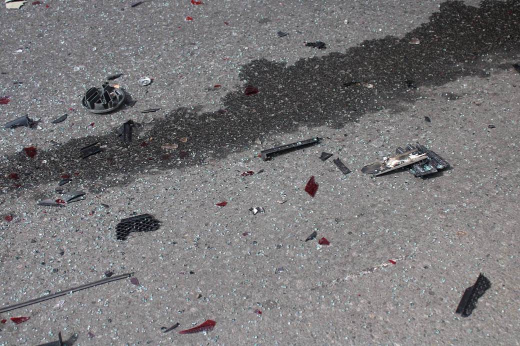 udes na Košutnjaku  (15)