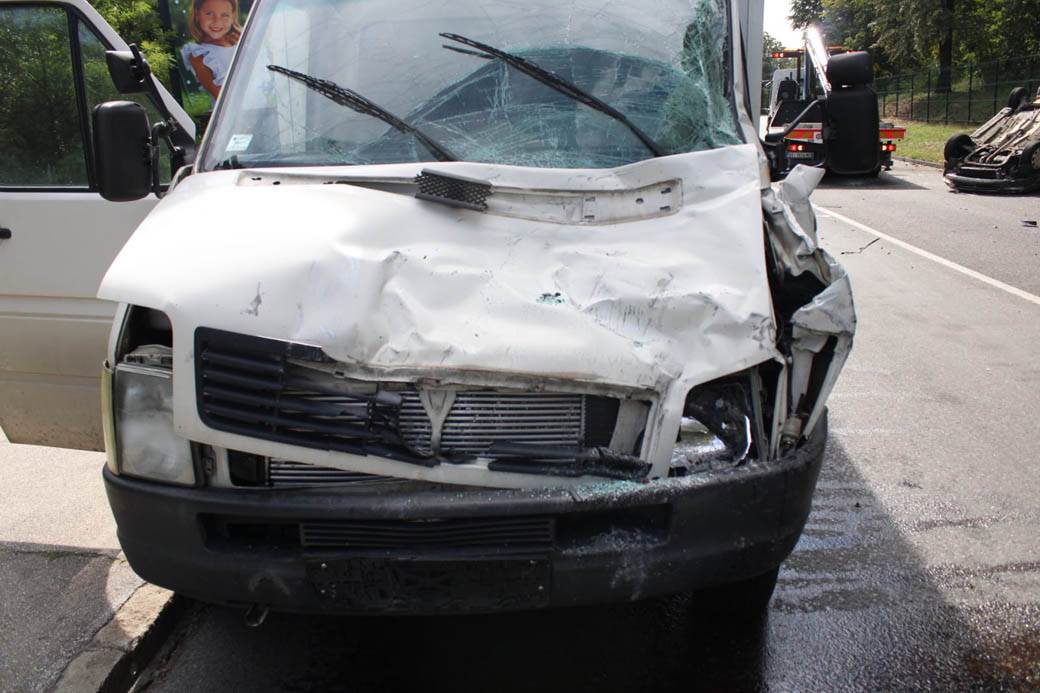 udes na Košutnjaku  (16)