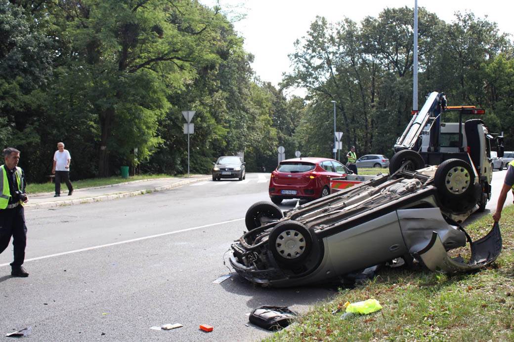 udes na Košutnjaku  (18)