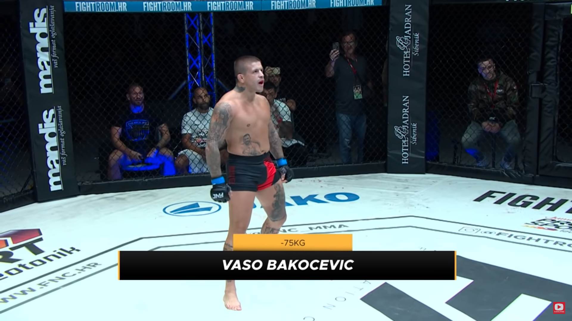 Aleksandar Ilić o meču Vase Bakočevića i Kroate i ustaškim povicima na MMA meču