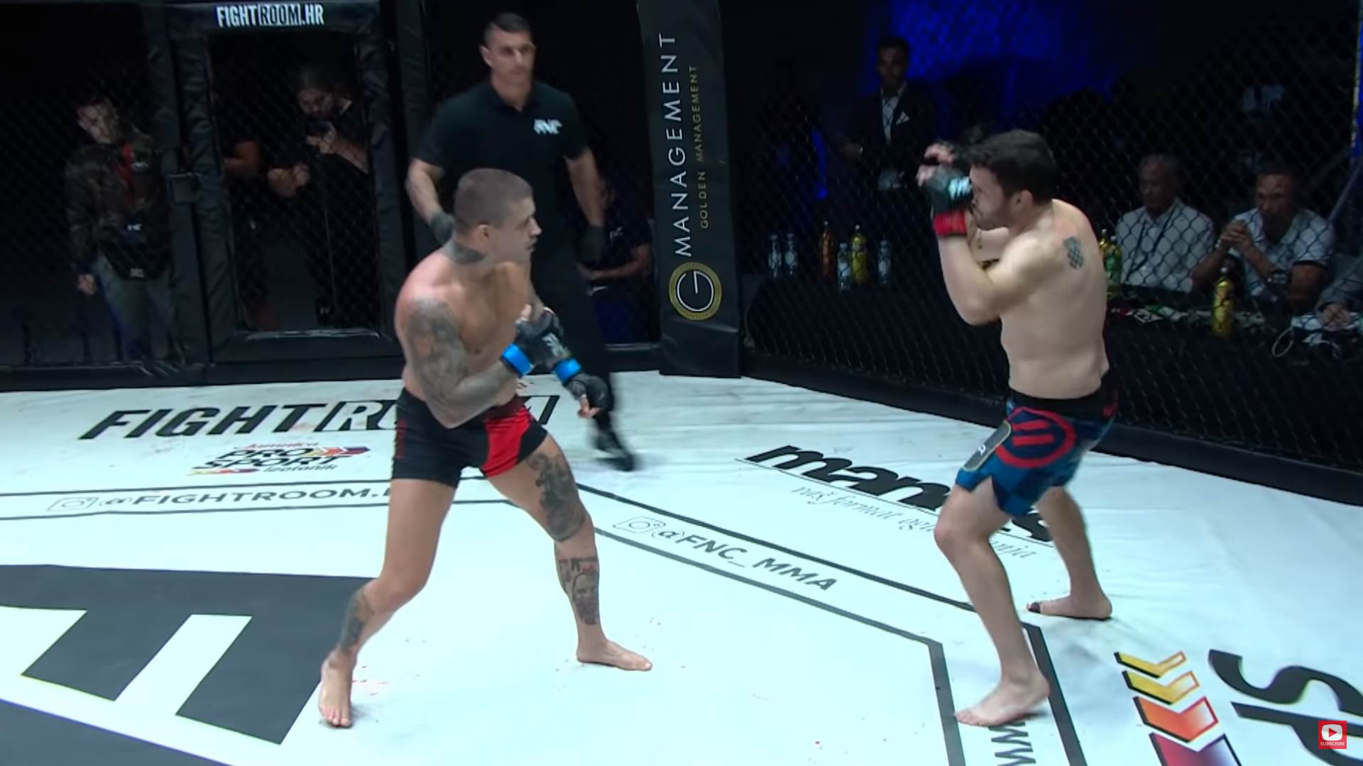 Aleksandar Ilić o meču Vase Bakočevića i Kroate i ustaškim povicima na MMA meču