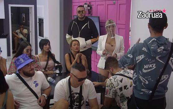 zadruga 6