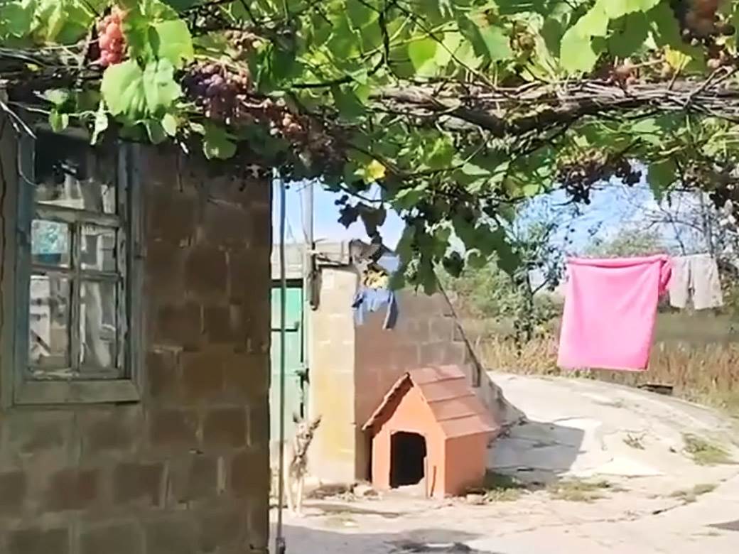 Nadjena mrtva deca, Ukraina (1)