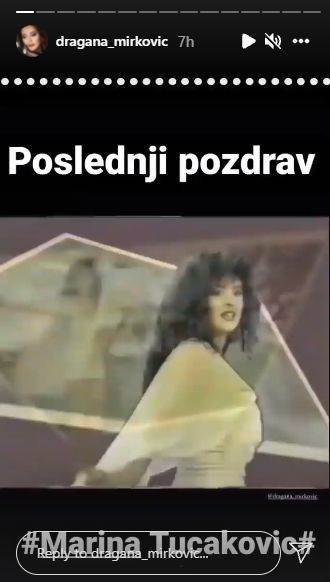 dragana-mirkovic-1