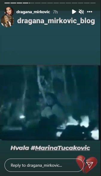 dragana-mirkovic-2