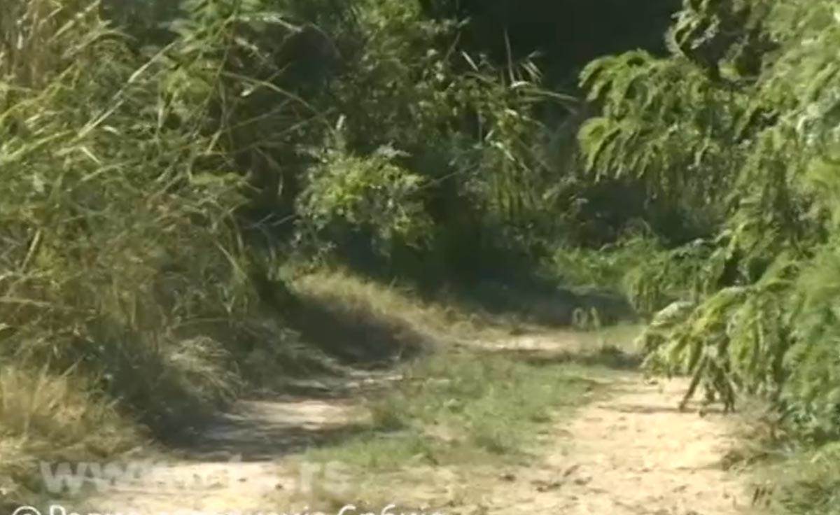 Pronadjen automobil nestale porodice Đokić (6)