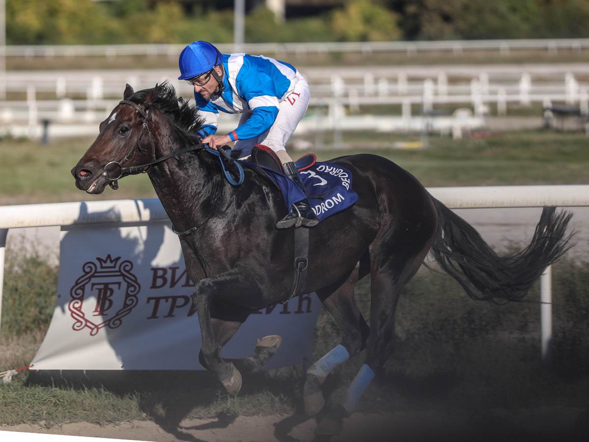 hipodrom-konji-trke-stefan-stojanović-12