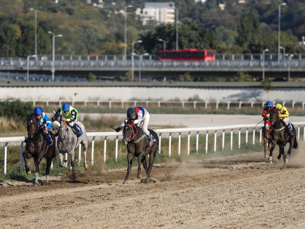 hipodrom-konji-trke-stefan-stojanović-9