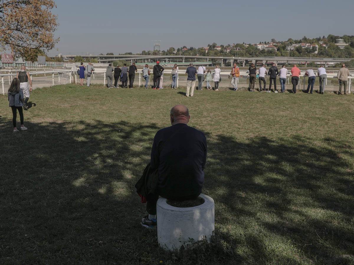 hipodrom-konji-trke-stefan-stojanović-13