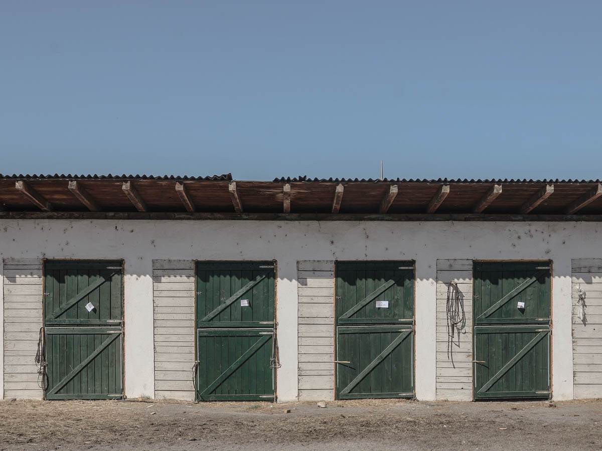 hipodrom-konji-trke-stefan-stojanović-1