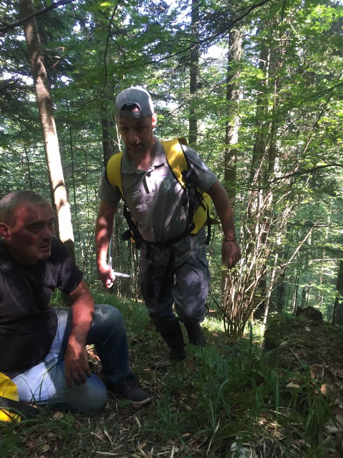 Nacionalni park Tara (1)